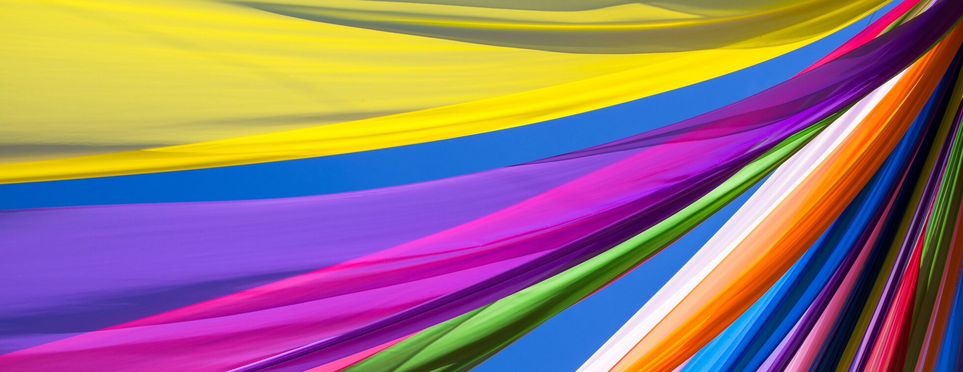 Color Carnival